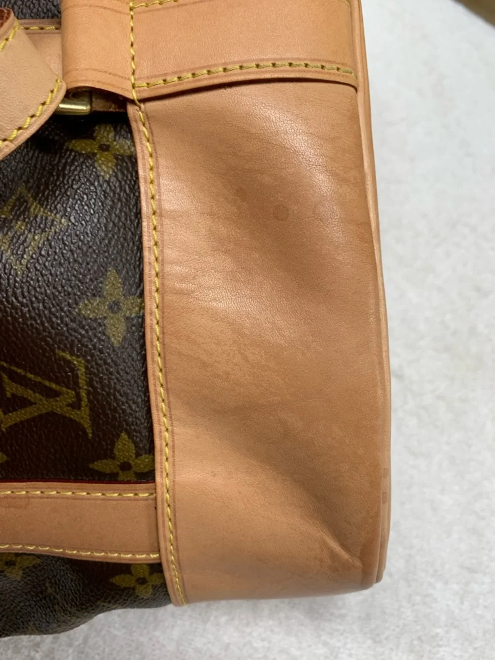 Louis Vuitton Monogram Randonnee PM Backpack